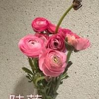 習美堂半日閑人文茶空間