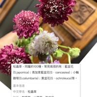 習美堂半日閑人文茶空間