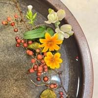 習美堂半日閑人文茶空間