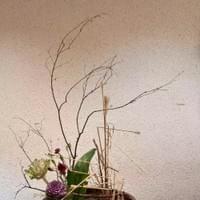 習美堂半日閑人文茶空間