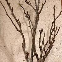 習美堂半日閑人文茶空間