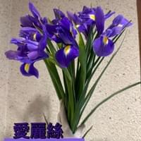 習美堂半日閑人文茶空間