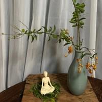 習美堂半日閑人文茶空間