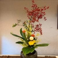 習美堂半日閑人文茶空間