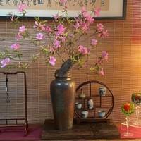 習美堂半日閑人文茶空間