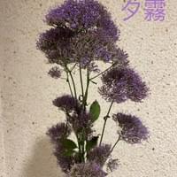 習美堂半日閑人文茶空間