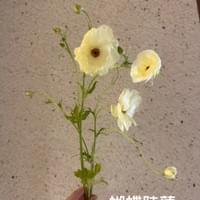 習美堂半日閑人文茶空間