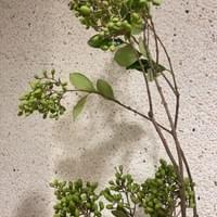 習美堂半日閑人文茶空間