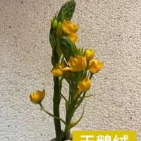 習美堂半日閑人文茶空間