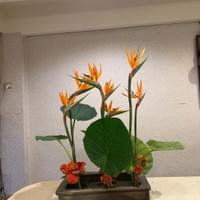 習美堂半日閑人文茶空間