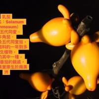 習美堂半日閑人文茶空間