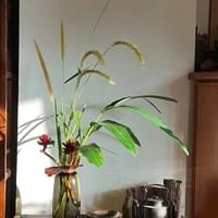 習美堂半日閑人文茶空間