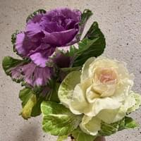 習美堂半日閑人文茶空間