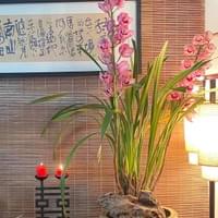 習美堂半日閑人文茶空間