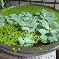 習美堂半日閑人文茶空間