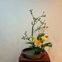 習美堂半日閑人文茶空間