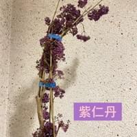 習美堂半日閑人文茶空間