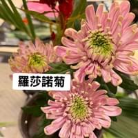 習美堂半日閑人文茶空間