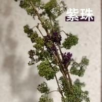 習美堂半日閑人文茶空間