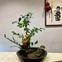 習美堂半日閑人文茶空間