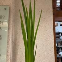 習美堂半日閑人文茶空間