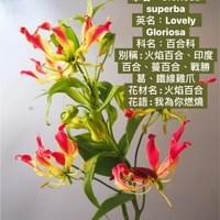 習美堂半日閑人文茶空間