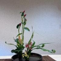 習美堂半日閑人文茶空間