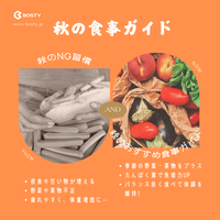 秋の食事ガイド