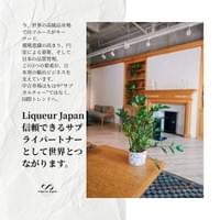 Ｌｉｑｕｅｕｒ　Ｊａｐａｎ株式会社_p4