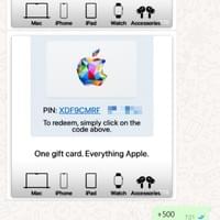 apple e-card 200￥+300$