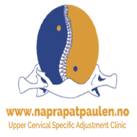 Naprapat Ole Petter Paulen