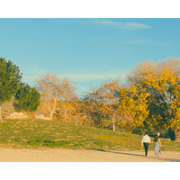 Tayler & Dylan : Engagement 