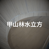 淡水甲山林水立方 (造型天花)