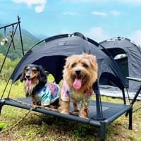 5050PET ANML TENT