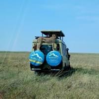 Serengeti classic game View