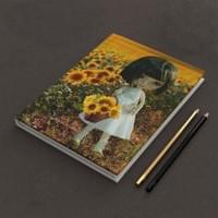 Sunflower Fields