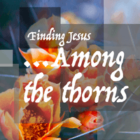 AMONG THE THORNS - JULY 2026