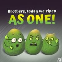 Avocadon’t