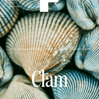No. 13 - Clam