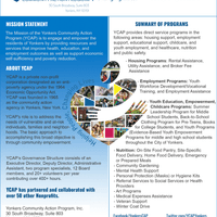 YAP Fact Sheet