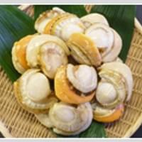 急冻煮扇贝