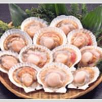 冷冻半壳鲜扇贝