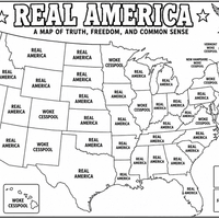 Real America Map