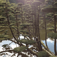 Oriental Park of Maulévrier