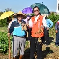 114年竹東黃金地瓜節