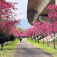 頭前溪河濱生態公園
