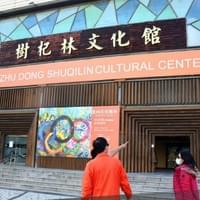 樹杞林文化館優化建設工程