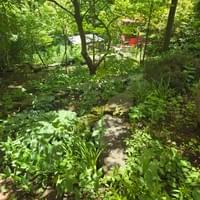 Garden Cleanup + Weeding 