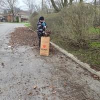 My worker picking up leaves