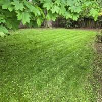 Backyard Mowing
